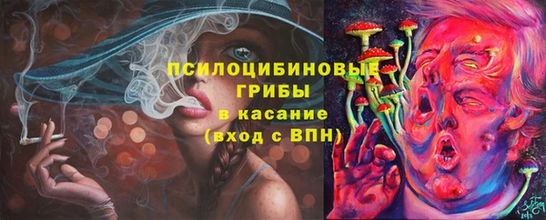 трава Горно-Алтайск